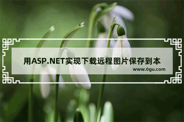 用ASP.NET实现下载远程图片保存到本地的方法 保存抓取远程图片的方法