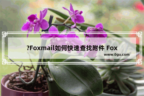 ?Foxmail如何快速查找附件 Foxmail邮箱中快速查找邮件中的附件的方法教程