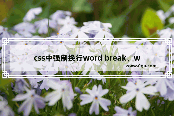 css中强制换行word break、word wrap、white space区别实例说明