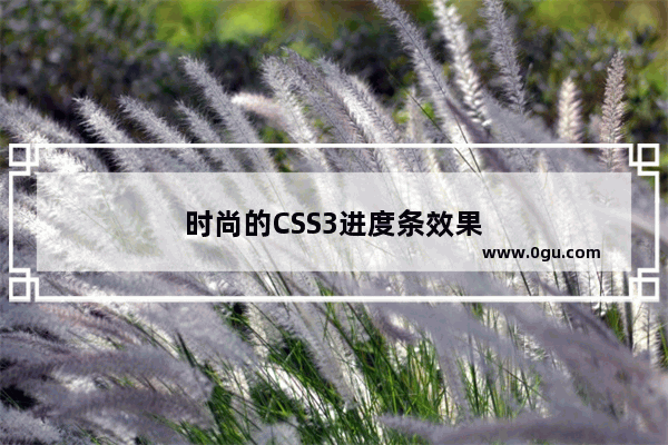 时尚的CSS3进度条效果