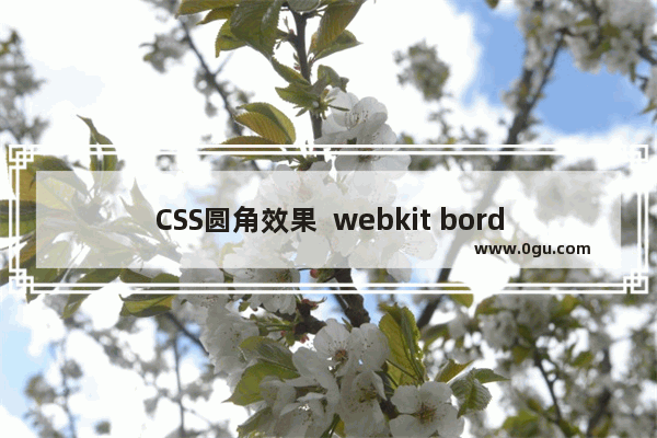 CSS圆角效果  webkit border radius(CSS3中border radius隐藏的威力)