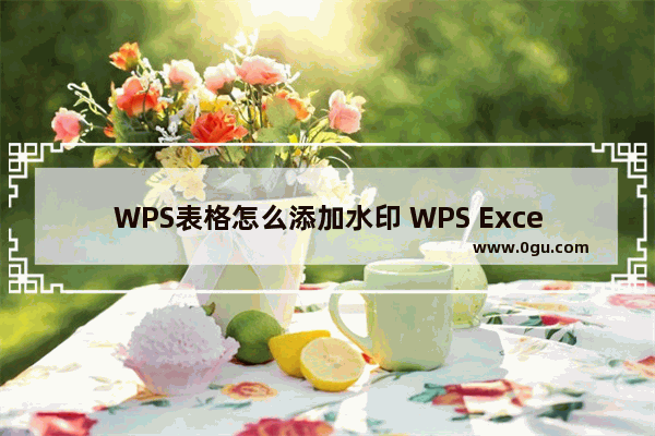 WPS表格怎么添加水印 WPS Excel中添加文字水印的方法