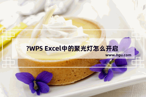 ?WPS Excel中的聚光灯怎么开启 WPS表格中制作聚光灯效果的方法教程