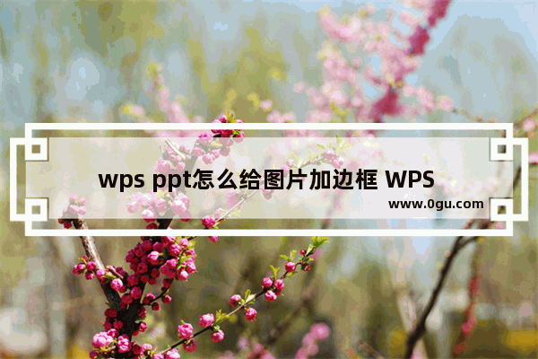 wps ppt怎么给图片加边框 WPS PPT中给图片添加边框的方法