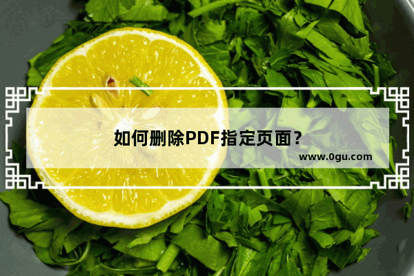 如何删除PDF指定页面？