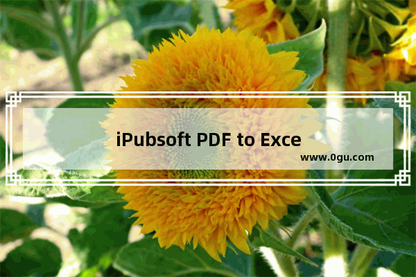 iPubsoft PDF to Excel Converter将PDF转换成Excel文件的方法