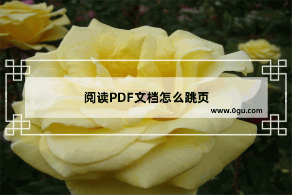 阅读PDF文档怎么跳页