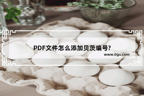 PDF文件怎么添加贝茨编号?