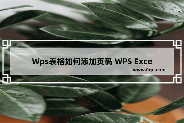 Wps表格如何添加页码 WPS Excel中添加页码的方法