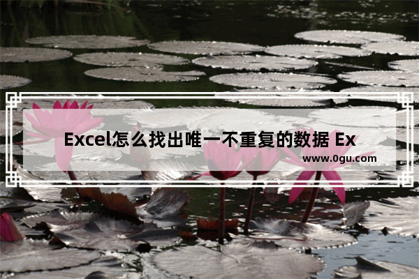 Excel怎么找出唯一不重复的数据 Excel找出唯一不重复的数据的方法