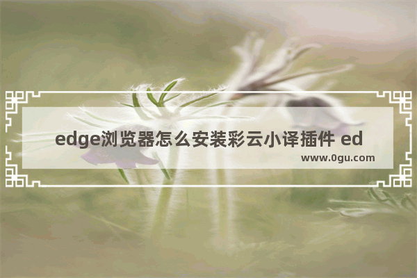 edge浏览器怎么安装彩云小译插件 edge浏览器安装彩云小译翻译插件的方法