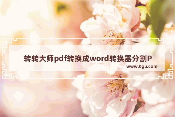 转转大师pdf转换成word转换器分割PDF的方法