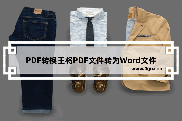 PDF转换王将PDF文件转为Word文件的方法步骤