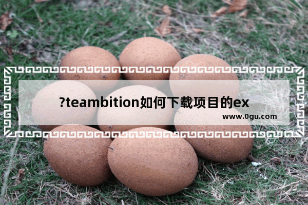 ?teambition如何下载项目的excel模板 ?teambition下载项目excel模板的方法