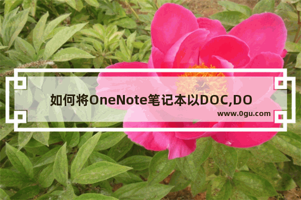 如何将OneNote笔记本以DOC,DOCX,PDF格式保存