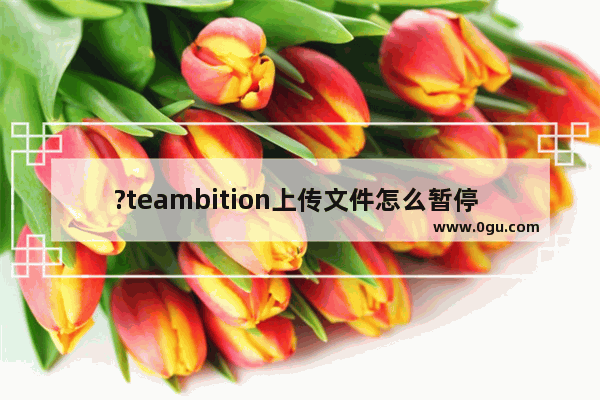 ?teambition上传文件怎么暂停 ?teambition上传文件的暂停方法