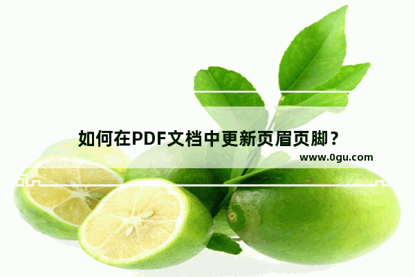 如何在PDF文档中更新页眉页脚？