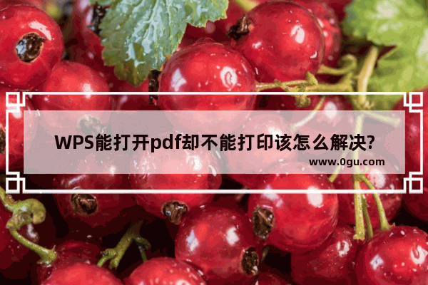 WPS能打开pdf却不能打印该怎么解决?