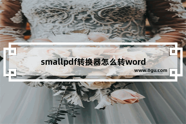 smallpdf转换器怎么转word