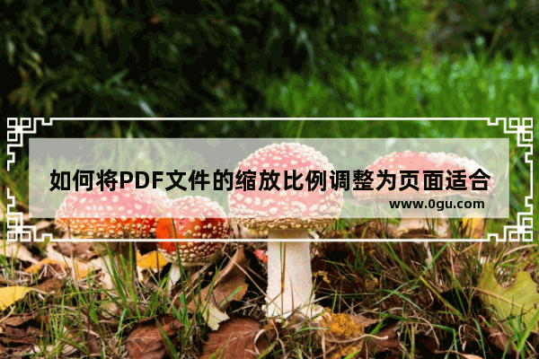 如何将PDF文件的缩放比例调整为页面适合窗口宽度？