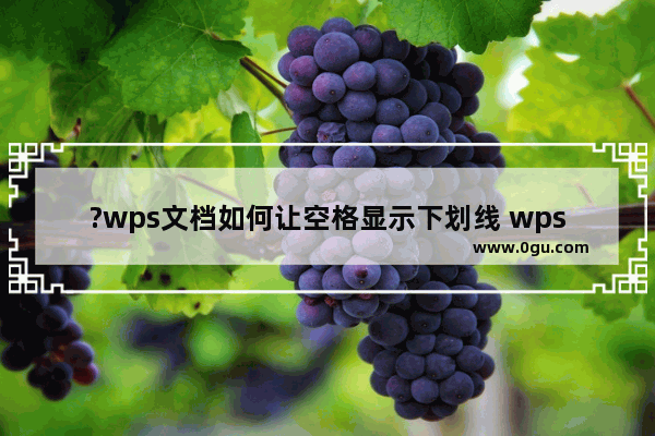 ?wps文档如何让空格显示下划线 wps文档设置按下空格显示下划线的方法