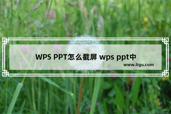 WPS PPT怎么截屏 wps ppt中区域截图的方法