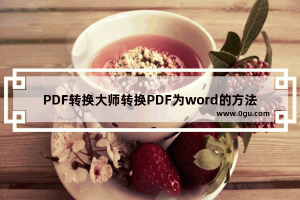 PDF转换大师转换PDF为word的方法