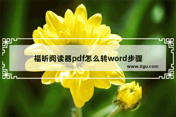 福昕阅读器pdf怎么转word步骤