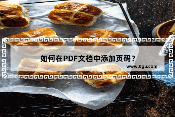 如何在PDF文档中添加页码？