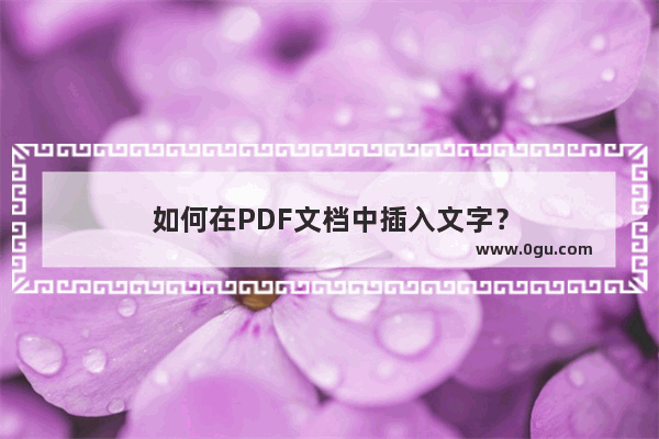 如何在PDF文档中插入文字？