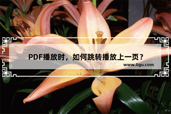 PDF播放时，如何跳转播放上一页？