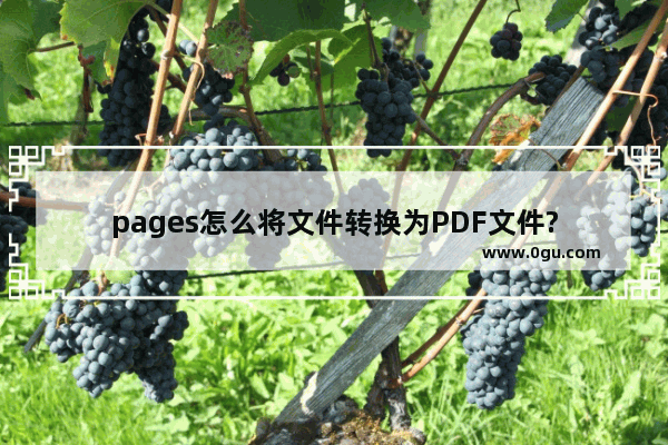 pages怎么将文件转换为PDF文件?