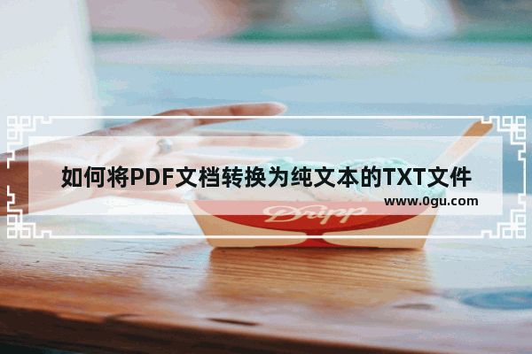 如何将PDF文档转换为纯文本的TXT文件？