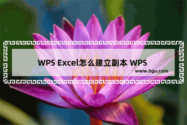 WPS Excel怎么建立副本 WPS Excel建立副本的方法