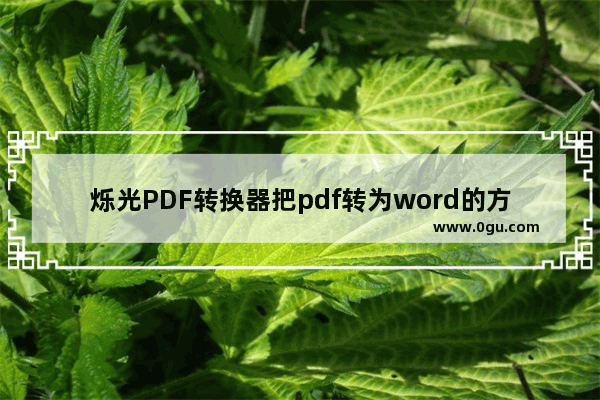 烁光PDF转换器把pdf转为word的方法