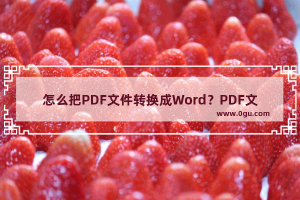 怎么把PDF文件转换成Word？PDF文件转换成Word的方法