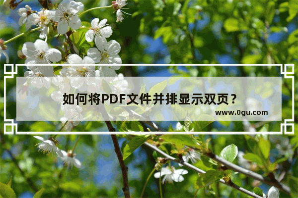 如何将PDF文件并排显示双页？