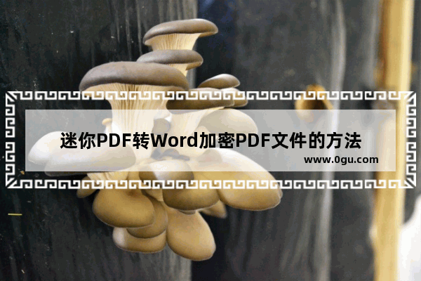 迷你PDF转Word加密PDF文件的方法步骤