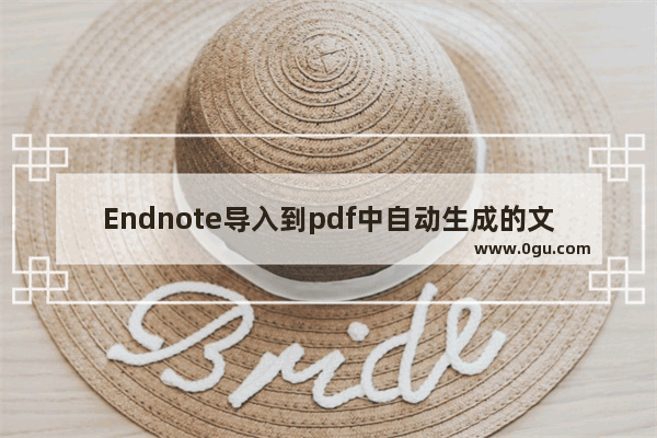 Endnote导入到pdf中自动生成的文件?