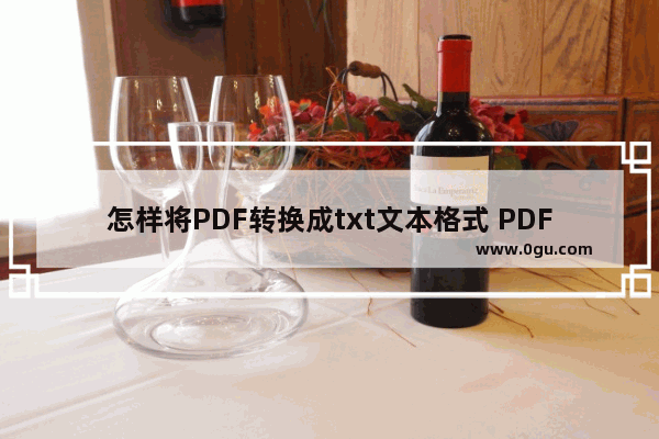 怎样将PDF转换成txt文本格式 PDF转换成txt文本格式图文教程