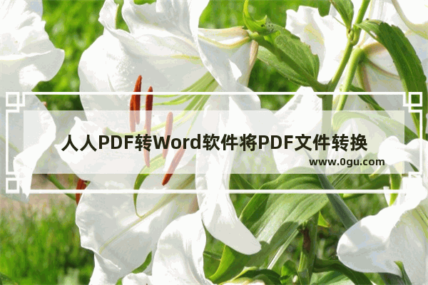 人人PDF转Word软件将PDF文件转换成Word文件的方法