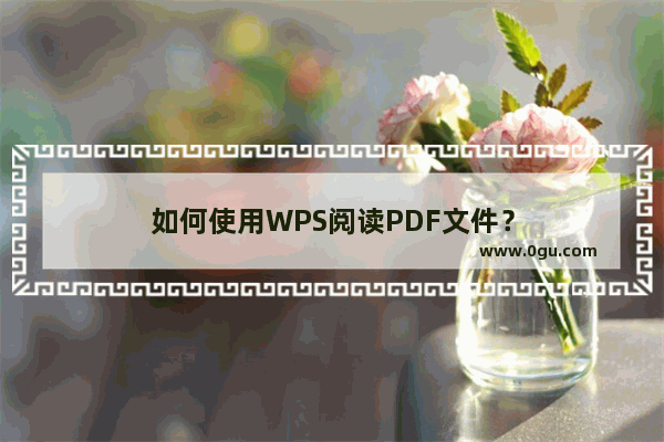 如何使用WPS阅读PDF文件？