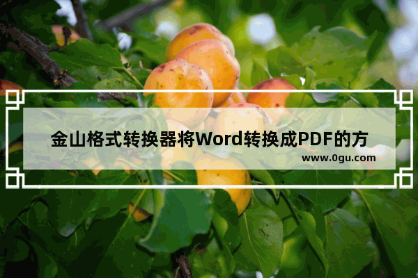 金山格式转换器将Word转换成PDF的方法步骤