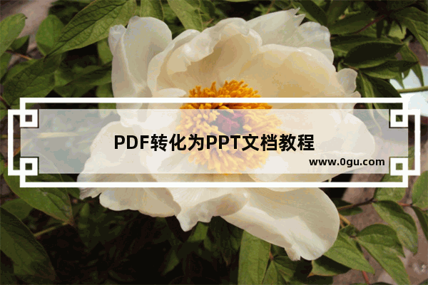 PDF转化为PPT文档教程