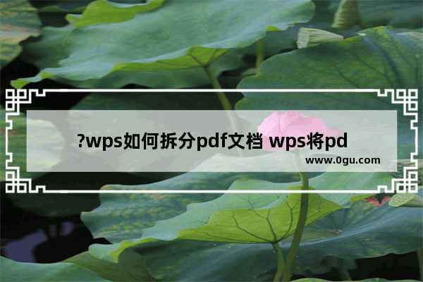 ?wps如何拆分pdf文档 wps将pdf文档拆分为几个的方法