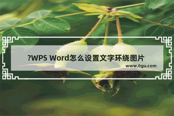 ?WPS Word怎么设置文字环绕图片 WPS文档中图片为四周型环绕的方法教程