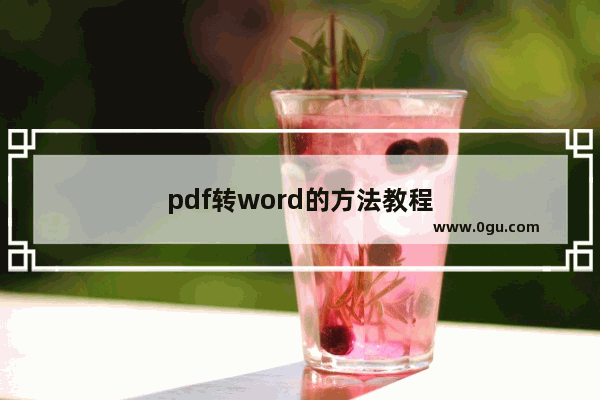 pdf转word的方法教程