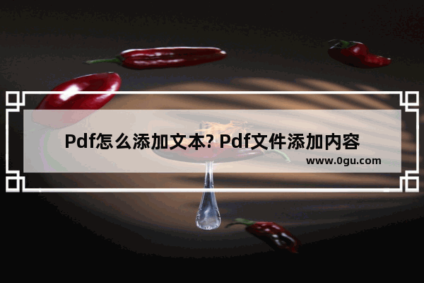 Pdf怎么添加文本? Pdf文件添加内容的教程