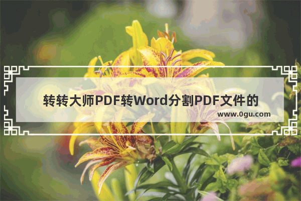 转转大师PDF转Word分割PDF文件的方法