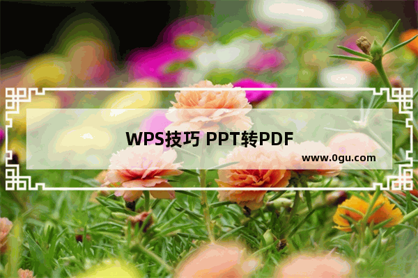 WPS技巧 PPT转PDF